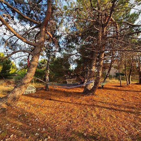 Apartmani Bellevue Вир Екстериор снимка