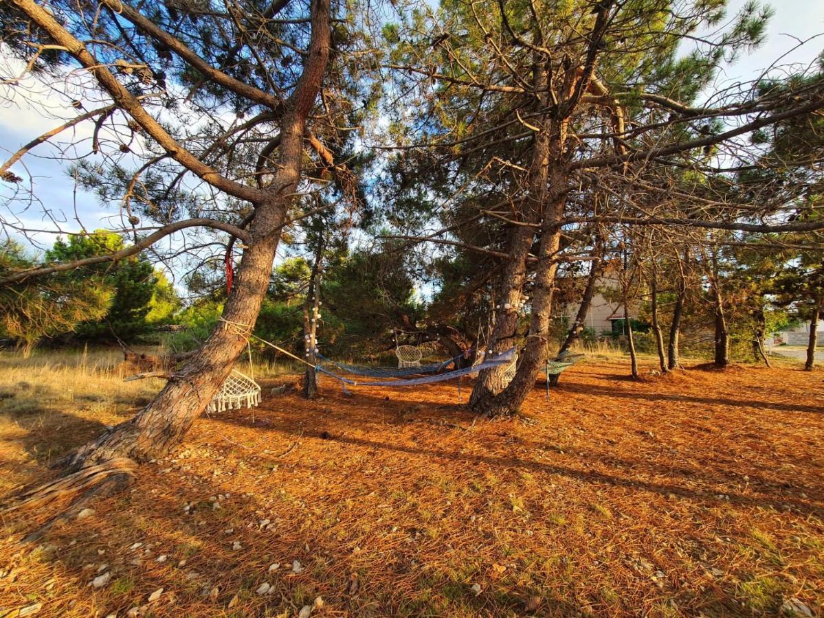 Apartmani Bellevue Вир Екстериор снимка